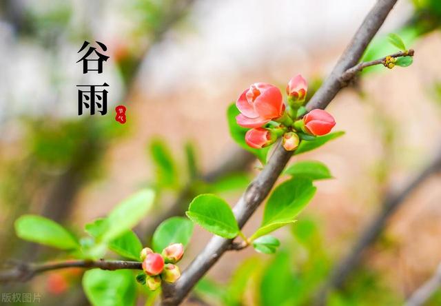 春天的最后一个节气・谷雨，不妨带谱系障碍孩子做做这6件事