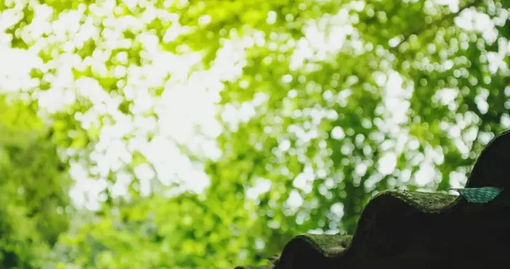 《中医基础理论》教材中非常全面的五脏调养方法【收藏】