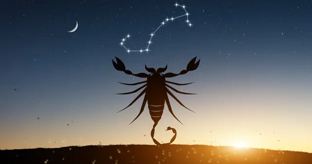 容易被误解，却从不争辩的四个星座