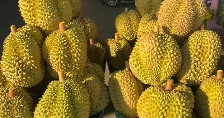 泰国榴莲疯狂涌入，今年实现“榴莲自由”不是梦！