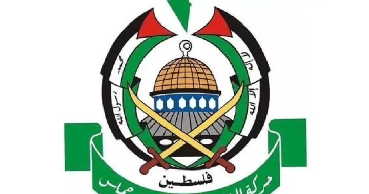 哈马斯隧道到底是谁修的?网友:背后金主可真有钱啊,财大气粗的！