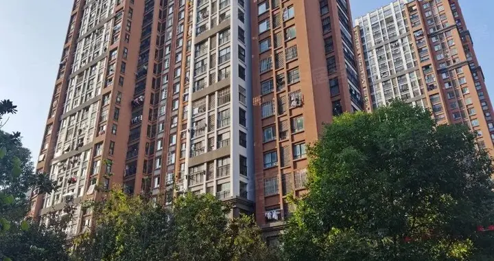 昆山苏尚家园业主集体领红包，公共收益终于分了，家家都有份羡慕