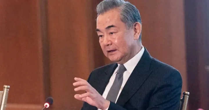 金砖成员国吵起来了，王毅不在场，俄印镇不住！10国盼着中国出手