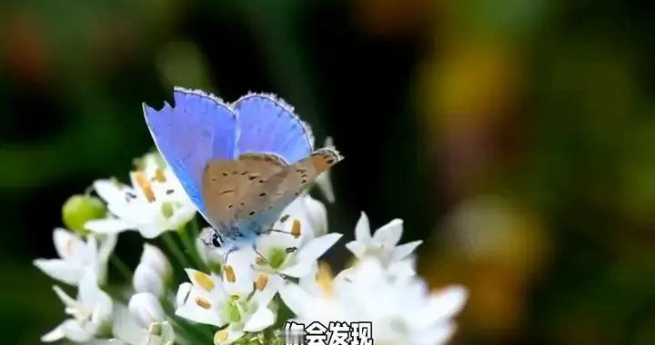 爱出者爱返，福往者福来