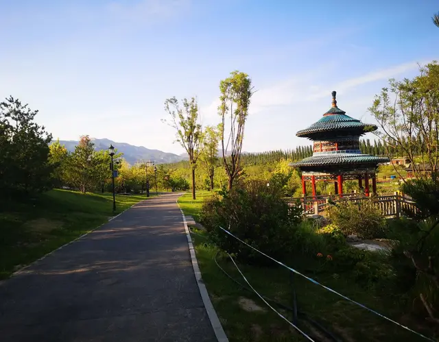 为什么练着练着，很多人都不愿意去瑜伽馆了？