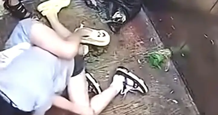 男孩挡电梯20秒！湖北仙桃两女子电梯互殴，妈妈教唆孩子帮忙打人