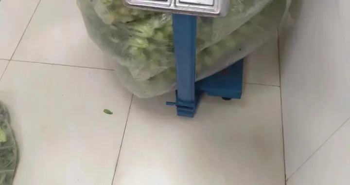 强制老师凌晨验收食材，就能确保食品安全、规避廉政风险？