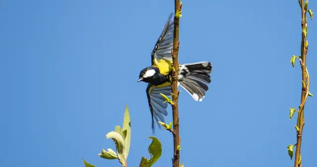 春天很短的，别急着赶路