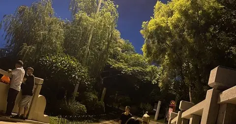 秘书被老板穿小鞋，揭露金钱背后隐藏的死亡阴谋！