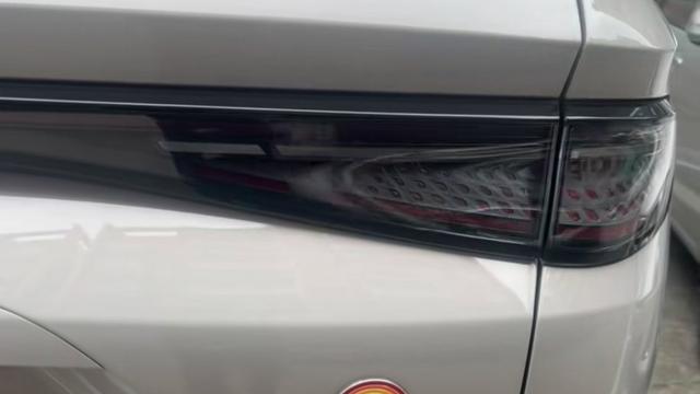 young帆的视野：来自比亚迪海狮车主的