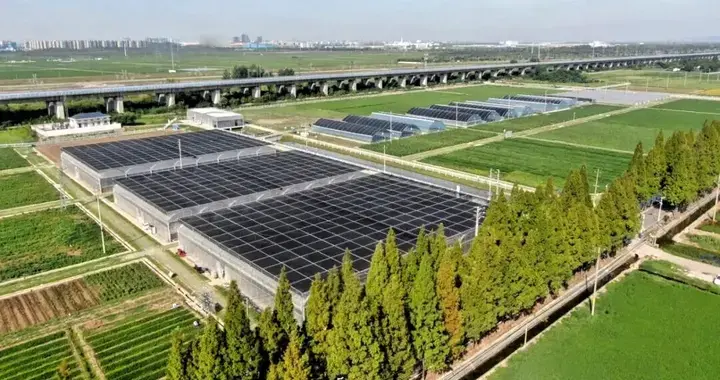 全省首个！农业概念验证中心落地南京，破解“实验室到田间”难题