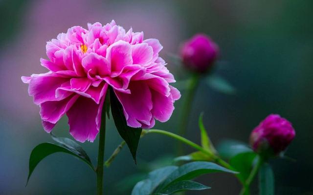 异性相处，一个女人暗恋你，才会有这些“在意”