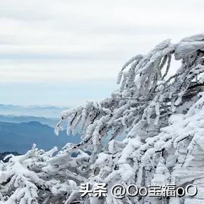 Oo宝福oO：浪漫不过世间花、 历史长河
