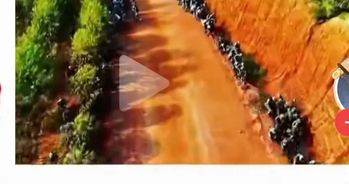 论韩国人的“棒子”精神