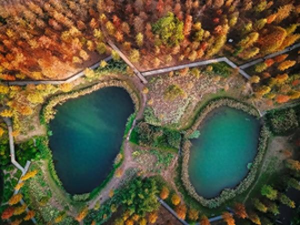 广州天河区5座免费宝藏公园！地铁直达，遛娃露营拍照一站式打卡
