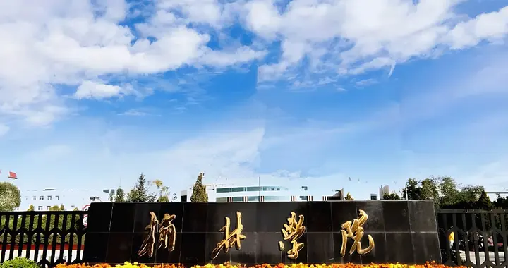 已被公示，两所以“城市”命名的学院将更名为大学，家长可了解