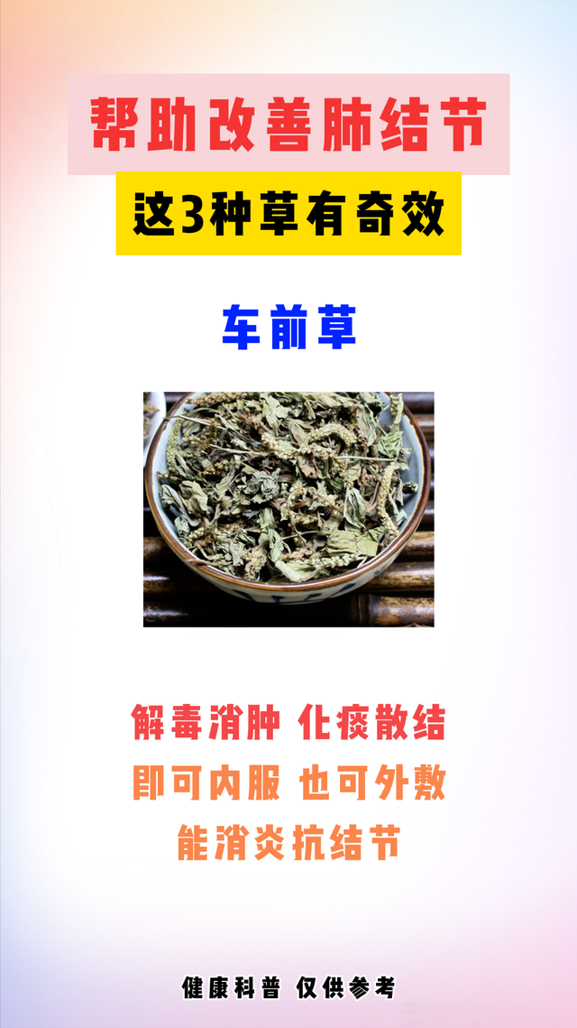 帮助改善肺结节的三种草