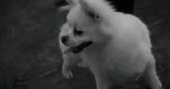 还真叫人无奈呀