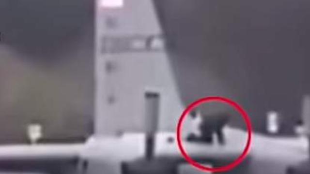 虎贲之刃：外媒：一李逵“持斧”闯入爱尔兰