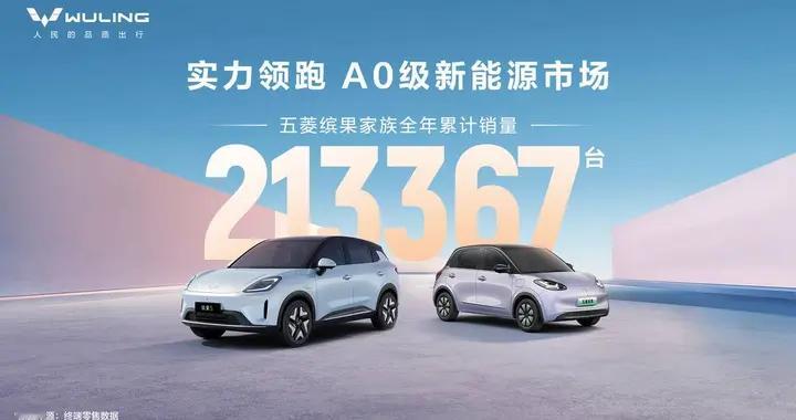 缤果家族2025全年热销213367辆，为用户提供缤纷代步新选择
