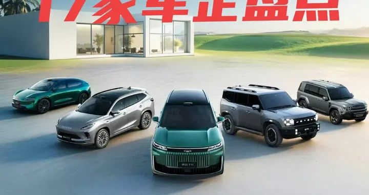 人们经常说到的17家车企具体是哪些？总部在哪些省市，业绩如何？