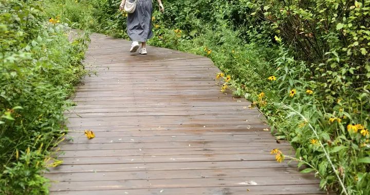 人生到了最幸福的时光