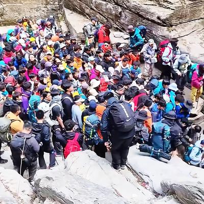 暖阳照草地：刚被朋友科普了“小短腿”