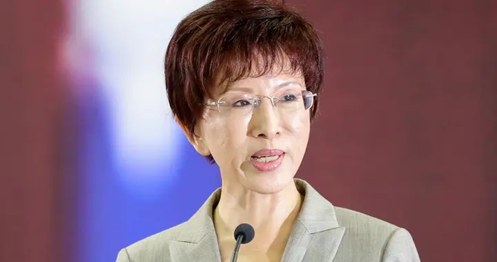 被判刑3年，蔡正元入狱！洪秀柱高喊：一中就是中国，台湾加大陆