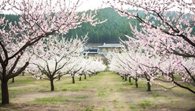 诸侯们的春秋聚会秀竟然这么精彩