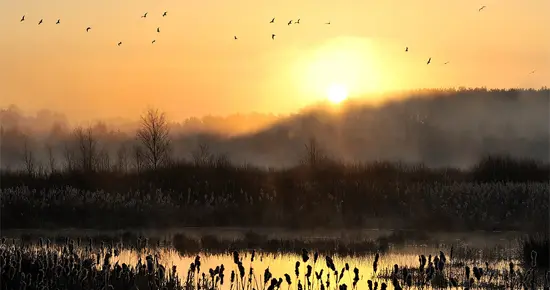 我对当前企业规划咨询的几点思考
