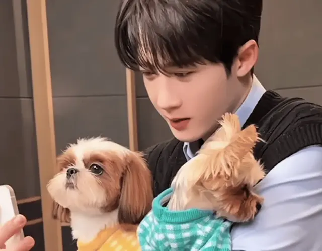 檀健次刚满三岁就接到高奢代言的“儿子”，汪圈顶流背后的故事！