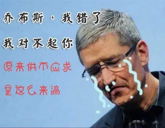 库克气死，原来iPhone16pro丐版，销量供不应求，都买来干这个了