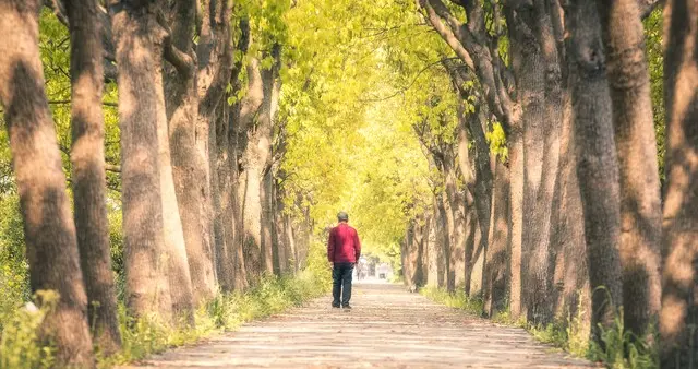 人到中年才明白：真正厉害的人，都在悄悄积攒这两样东西