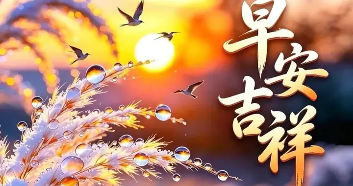 早安吉祥！风拂芦苇，秋意入怀，愿平安喜乐，快乐常伴
