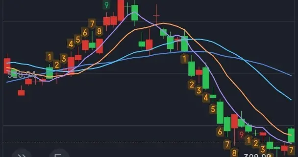 贵州一股民700元买入江波龙20天，账户亏得一地鸡毛。