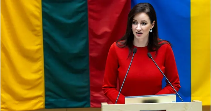 立陶宛明说了，与台勾连这些年，那叫一个惨，希望中方能给个机会