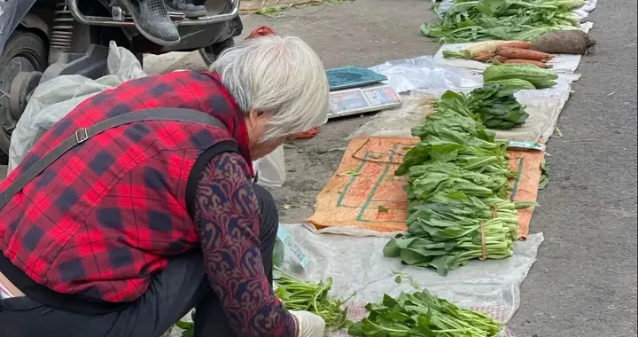 路边摊的蔬菜，都是说是不打农药、不用化肥，靠谱率多少？