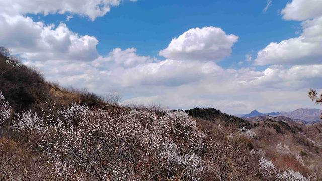 兰儿小主：我的今日