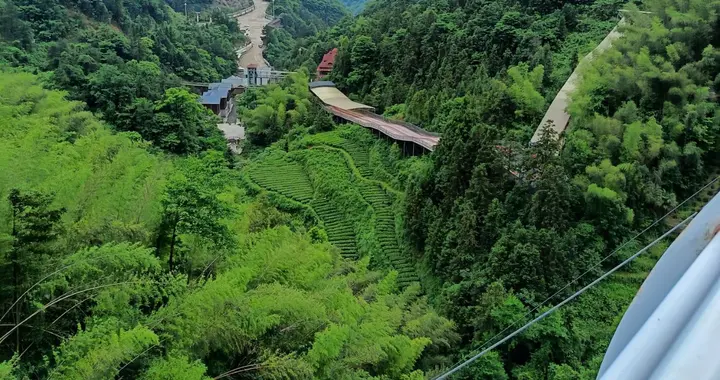 我的孩子己上初中，学习成绩较差，着迷手机，应该怎么办？