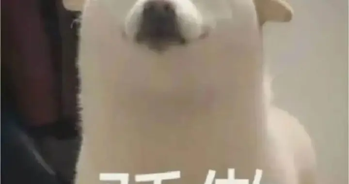 “谁说生日蜡烛非得配蛋糕？”啊啊啊网友太有才了！！