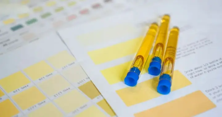 血糖高不高？小便早把底透了！3种小便变化，提醒血糖已“超标”