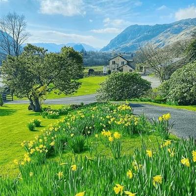 热心崔大夫：https://mp.wei