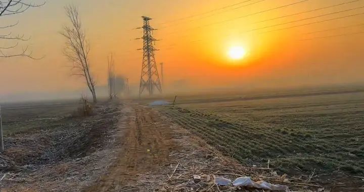 你要记住，人这一生最该学会的本事，从不是拼命挣钱，也不...