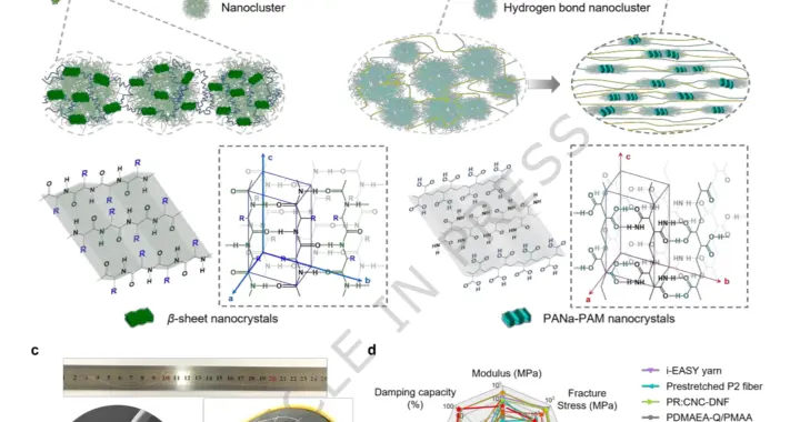 向蜘蛛拜师学艺：苏州大学团队用普通化工原料编织超强纤维｜光锥读论文