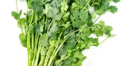 伏天紫外线强，吃感光食物人体皮肤会变黑吗？