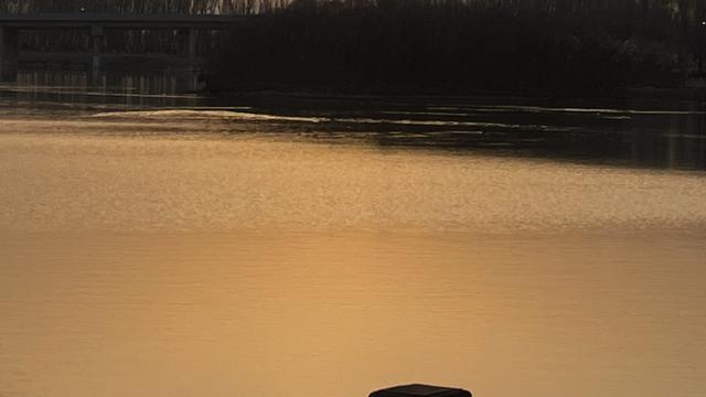 娱乐圈鲜生：我的今