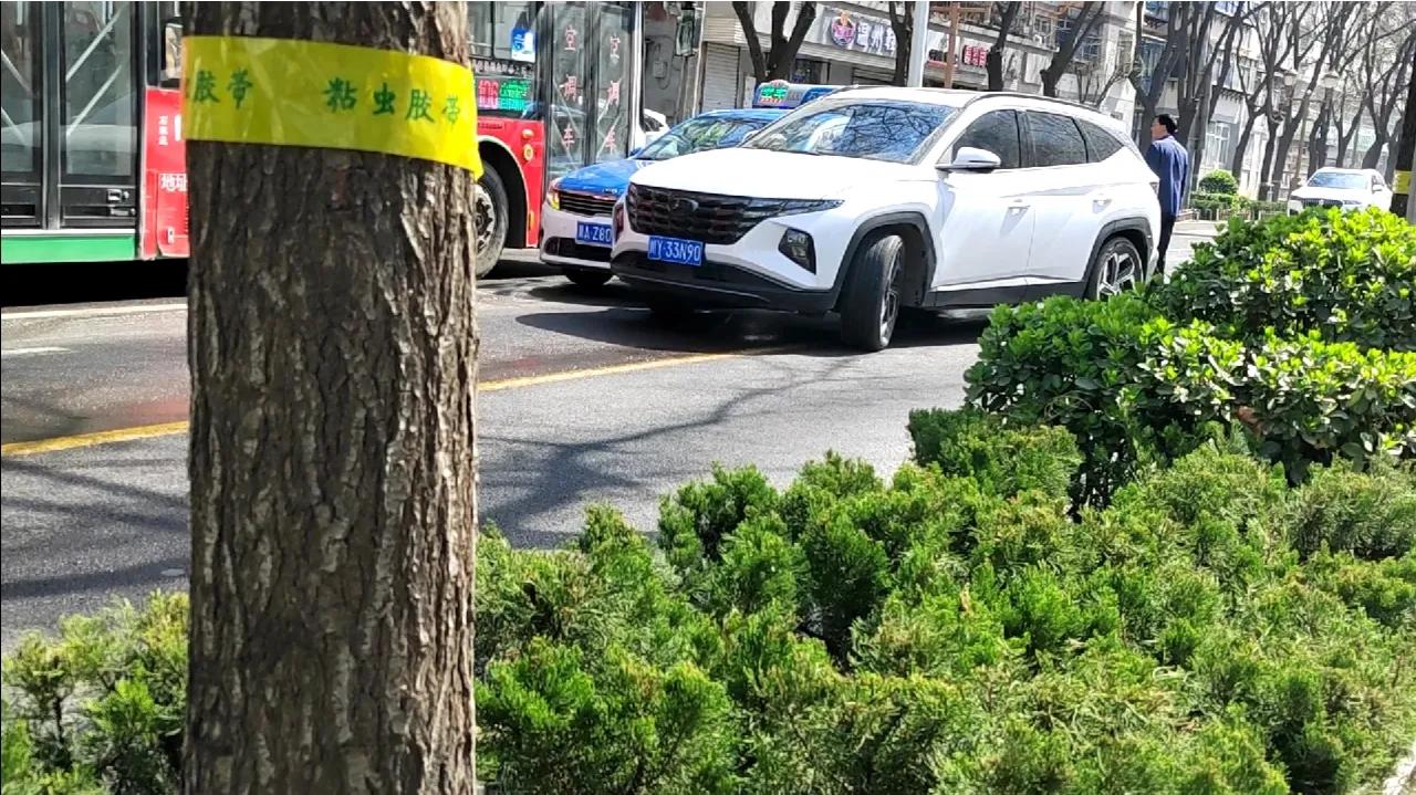 滴滴滴，砰的一声撞上去。别的车只好逆行绕路，或走🚲道