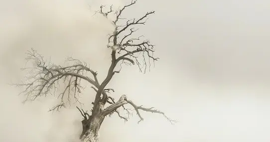 记录篇（三）：我的爷爷