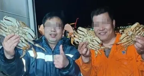 全网痛骂！两名男子在加拿大捕捞珍宝蟹，并在船上现蒸当馒头吃