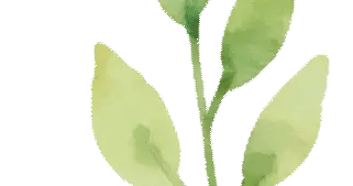 提交 “四流资料”，工商银行、农业银行、中信银行、杭州银行联动助力，企...